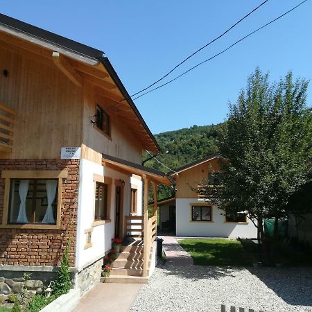 Guest House Carpathia Viseu de Sus Bagian luar foto