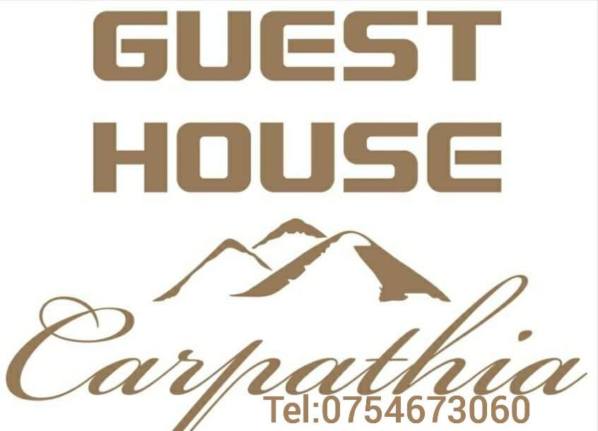 Guest House Carpathia Viseu de Sus Bagian luar foto
