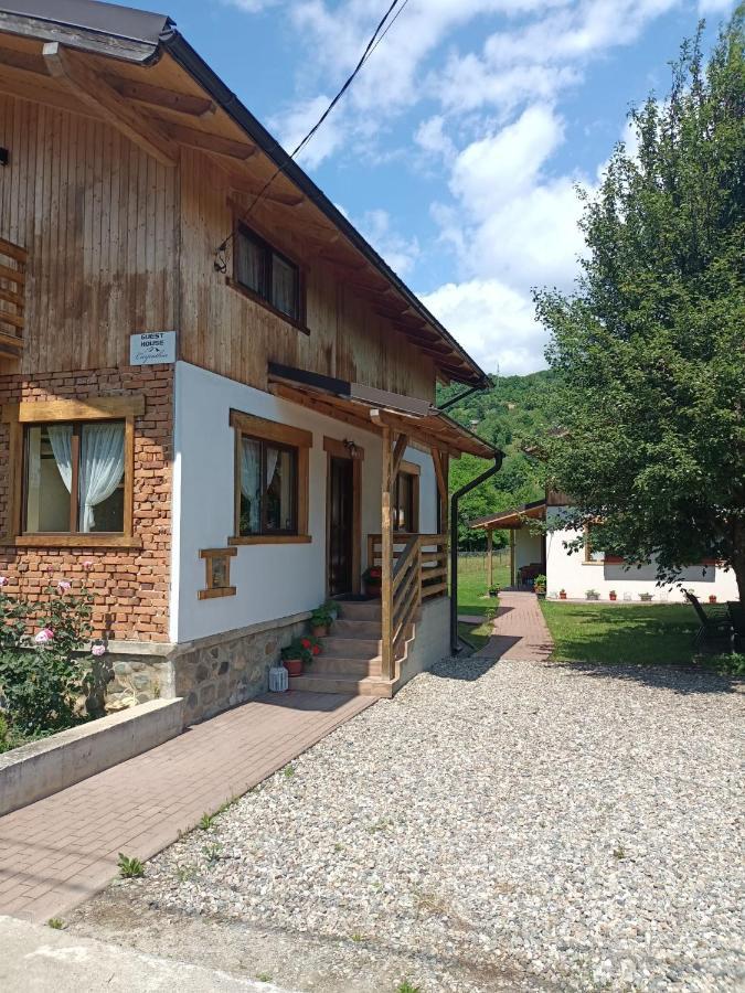 Guest House Carpathia Viseu de Sus Bagian luar foto