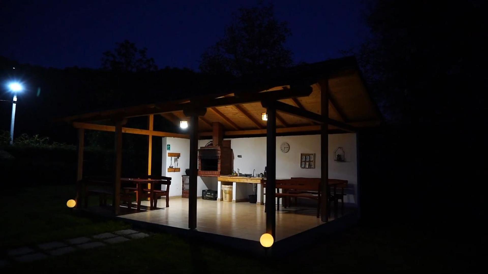 Guest House Carpathia Viseu de Sus Bagian luar foto