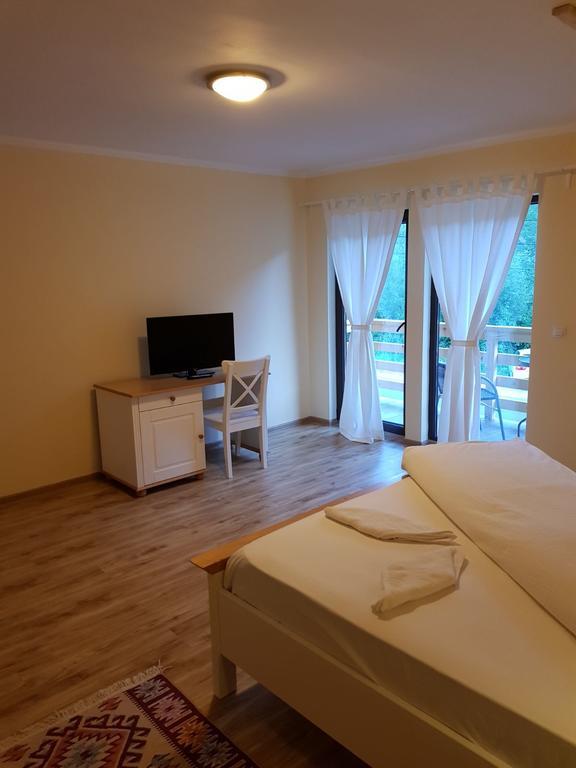 Guest House Carpathia Viseu de Sus Bagian luar foto