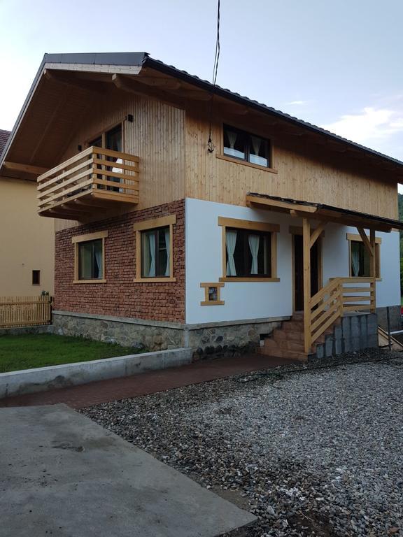 Guest House Carpathia Viseu de Sus Bagian luar foto