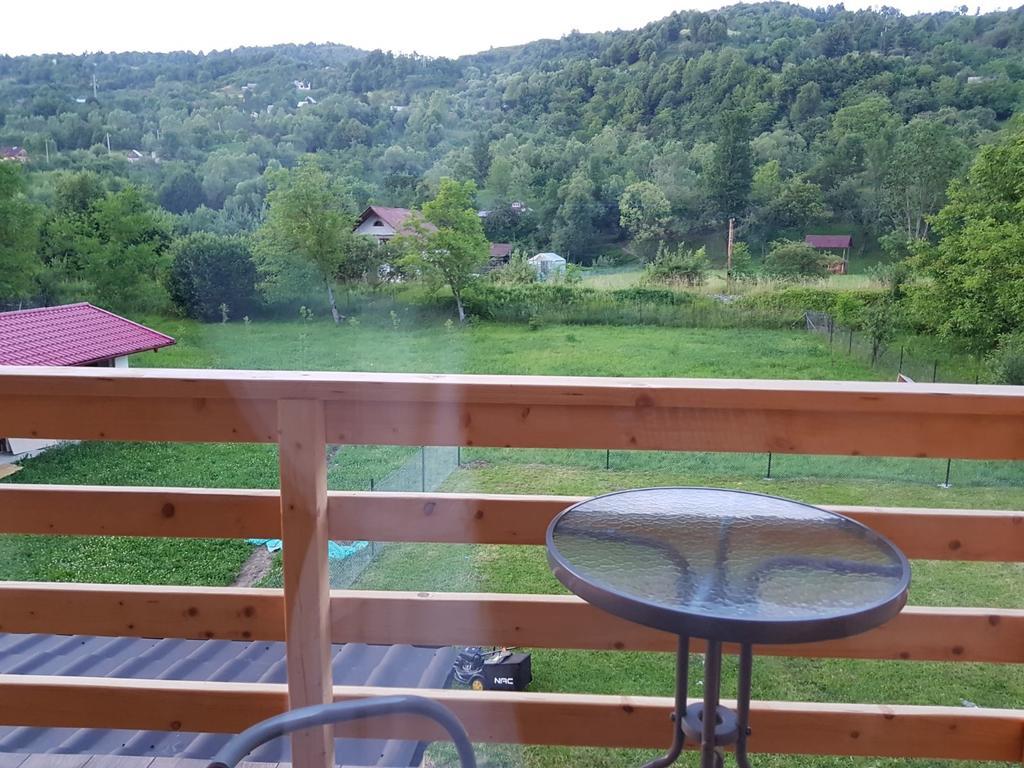 Guest House Carpathia Viseu de Sus Bagian luar foto