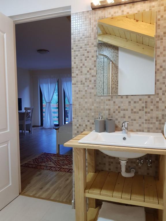 Guest House Carpathia Viseu de Sus Bagian luar foto