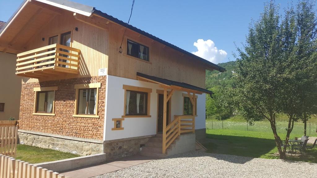 Guest House Carpathia Viseu de Sus Bagian luar foto