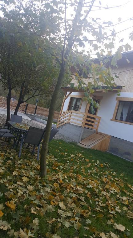 Guest House Carpathia Viseu de Sus Bagian luar foto