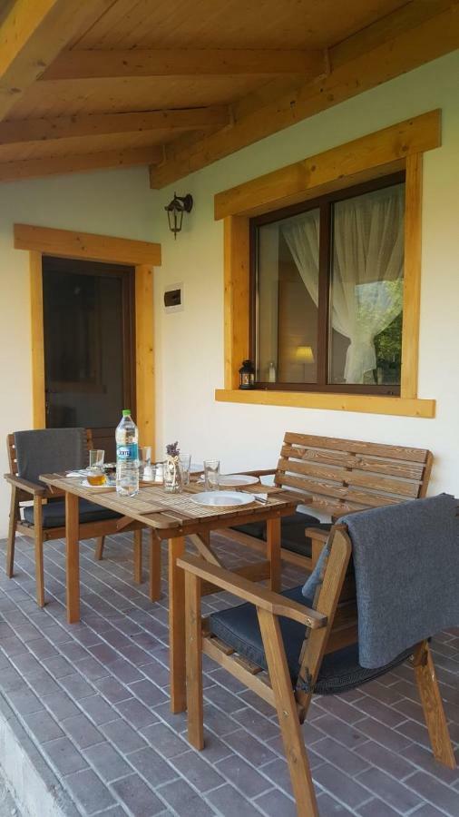 Guest House Carpathia Viseu de Sus Bagian luar foto