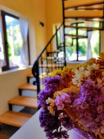 Guest House Carpathia Viseu de Sus Bagian luar foto