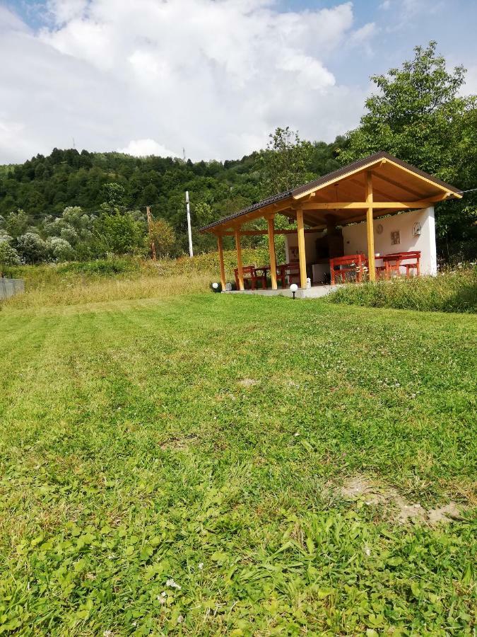 Guest House Carpathia Viseu de Sus Bagian luar foto